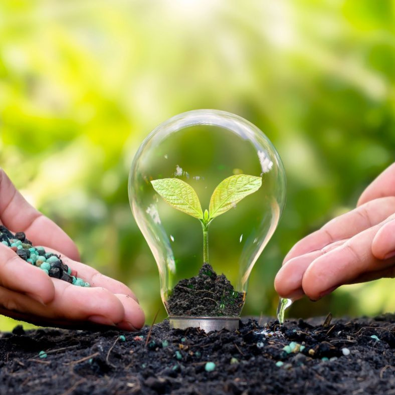 Custom Fertilization: Choose the Ideal Fertilizer for Every Type of Plant