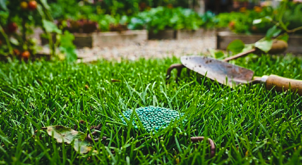 Professional Lawn Fertilizer: Complete Guide for a Perfect Lawn